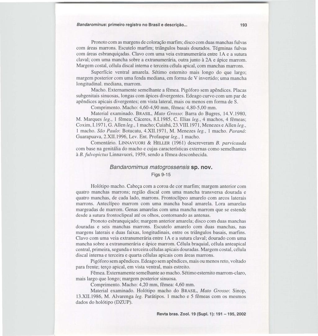 Bandarominus: primeiro registro no Brasil e descrição... 193 Pronoto com as margens de coloração marfim; disco com duas manchas fulvas com áreas marrons. Escutelo marfim; triângulos basais dourados.