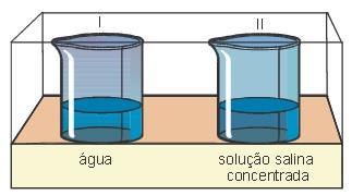 29. Em dois frascos idênticos, I e II, foram colocados volumes iguais de água e de solução concentrada de cloreto de sódio, respectivamente.
