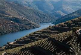 Uma Nova Agenda para os Clusters os VINHOS Portugal é uma referência na produção de vinhos Top 25, número de vinhos 16 Ponto Crítico das Exportações de Vinhos