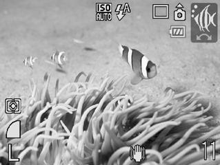 S Fotografar debaixo de água (Subaquático) Permite fotografar debaixo de água com o Estojo à Prova de Água WP-DC26 (vendido em