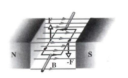 8.7 Torque sobre uma bobina de corrente * Se colocarmos uma bobina condutora fechda num campo magnético externo e, ppor ela, passarmos corrente, um torque atuará