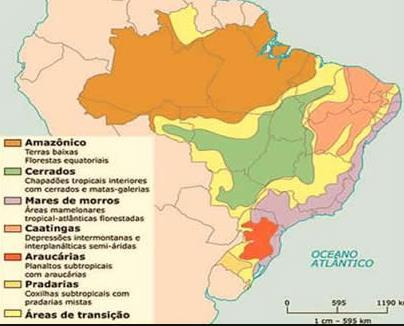 Brasil - Domínios Morfoclimáticos Os domínios morfoclimáticos brasileiros são definidos a partir das características climáticas, botânicas, pedológicas, hidrológicas e fitogeográficas.