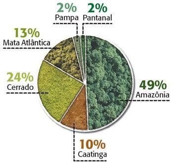 Brasil - Biomas Um bioma é formado por todos os seres vivos de uma determinada região,