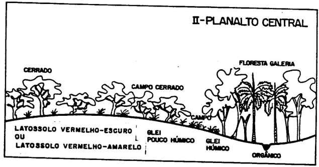 Chapadas Solo-Paisagem na Região Centro-Oeste