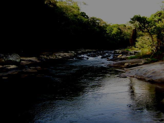 Considerações finais Evitar a degradação dos atributos do solo; Manutenção da sua superfície coberta (culturas vivas ou mortas); Incorporação constante de M.O.