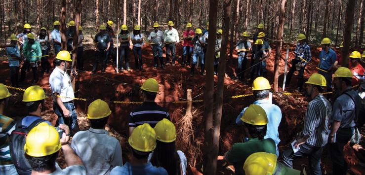 e professores e estudantes do curso de Engenharia Florestal do Instituto de Ciências Agrárias da Universidade Federal de Minas Gerais (ICA/UFMG).