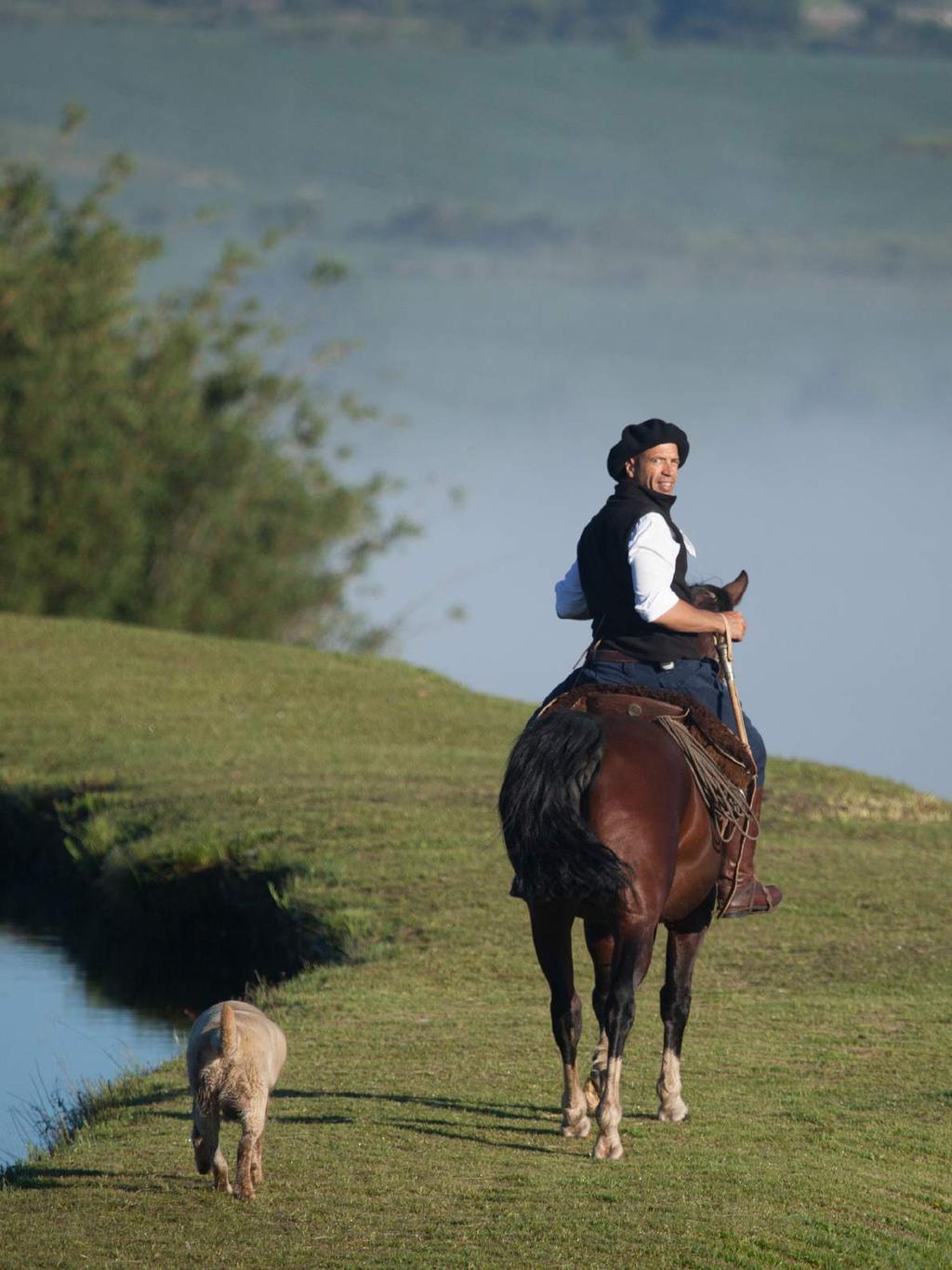 GERÔNIMO DO PURUNÃ Com orgulho de seu plantel, a Cabanha São Rafael fez da paixão pelo cavalo um estilo de vida.