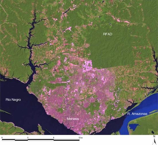 MATERIAL E MÉTODOS Área de estudo Este estudo foi realizado na Reserva Florestal Adolpho Ducke (RFAD), uma área de 100km2 localizada a 26 km ao norte da cidade de Manaus/AM (Figura 2).