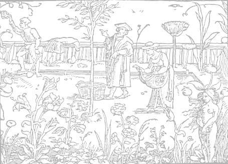 Xilogravura germânica de um típico jardim medieval de plantas medicinais. (in "The Garden of Health," Antuérpia (1533), reproduzido em Witchcraft Medicine, Claudia Muller-Ebeling et al.