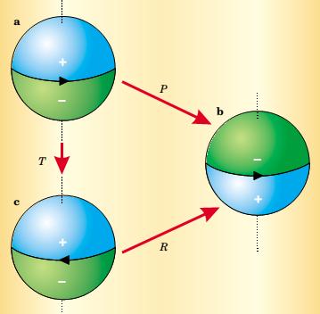 . Momento de dipolo elétrico do nêutron Figura.1.: A presença de um MDE leva a violação das simetrias por P e T.