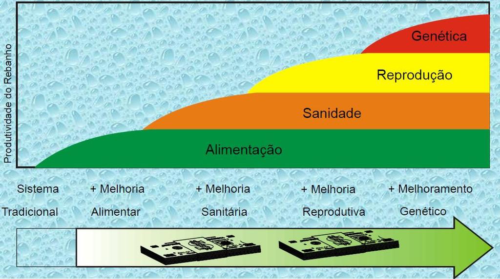 Importância da alimentação Efeitos cumulativos e complementares de