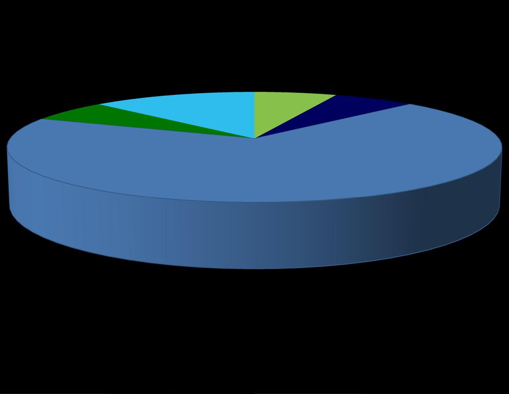 13% Educação Saúde 69% Solidariedade social Ambiente, desporto e lazer, educação, solidariedade