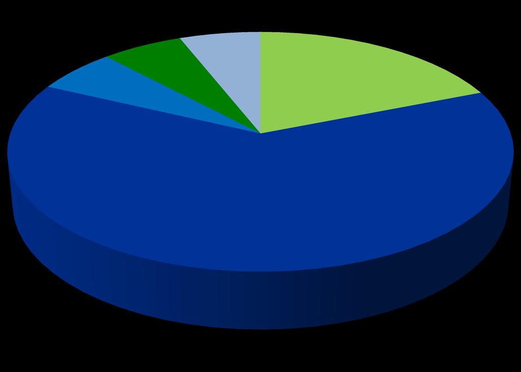 19% Família e comunidade em geral Pessoas idosas Crianças e jovens 63% Grávidas, mães