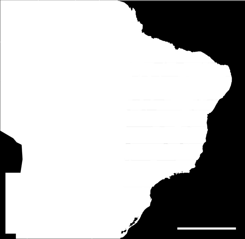 inexplorado Há iniciativas do governo para promover essa fonte de energia Criação de grupos de estudos no governo para