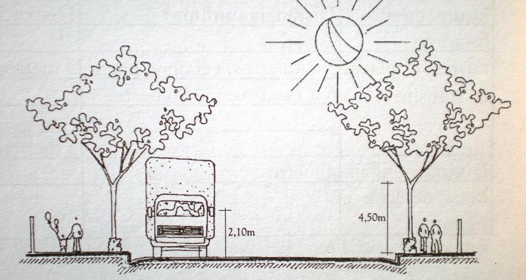 vegetação localização Restrições da vegetação com relação aos veículos e