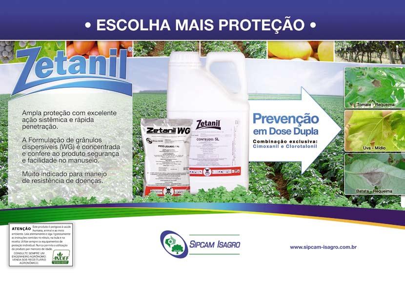 para grandes redes. Para cumprir tais requisitos, o produtor, na maioria dos casos, tem que ter uma estrutura de packing house e de logística.