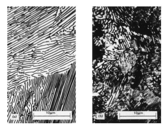 PERLITA FINA E GROSSEIRA Fotomicrografias de (a)perlita grosseira (b)perlita fina À temperatura em torno de 540 o C é produzido uma