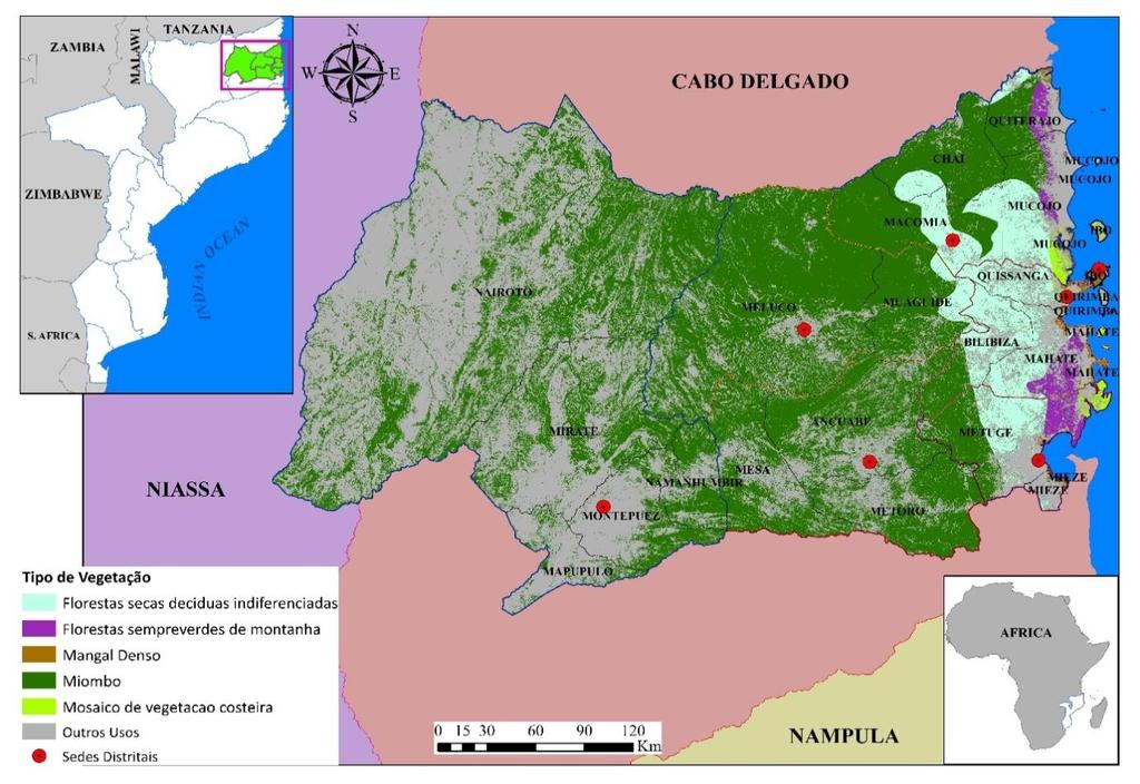 5.1. Cobertura florestal dos distritos abrangidos pelo PROGIP-CD A análise de cobertura florestal é feita com base no mapa de cobertura de 2000.