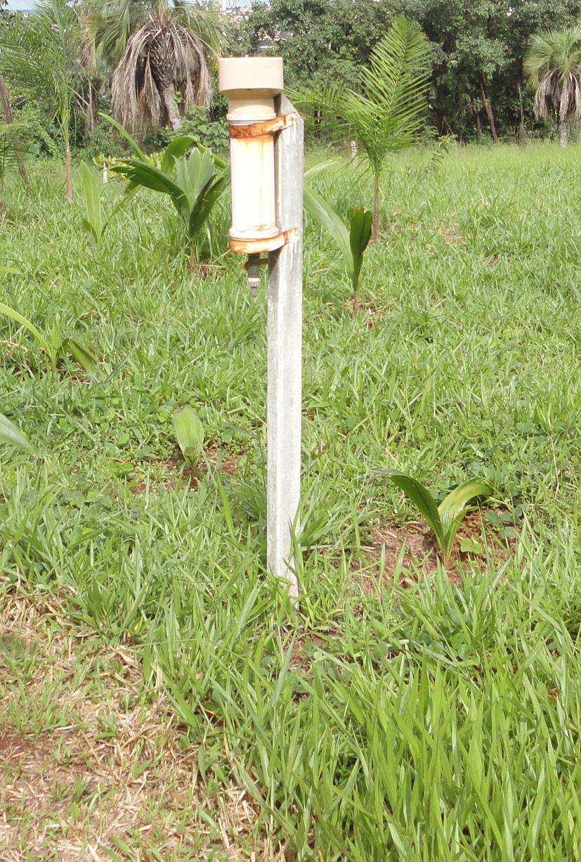 Os dados de temperatura do ar foram coletados a cada 10 minutos, sendo apresentada neste