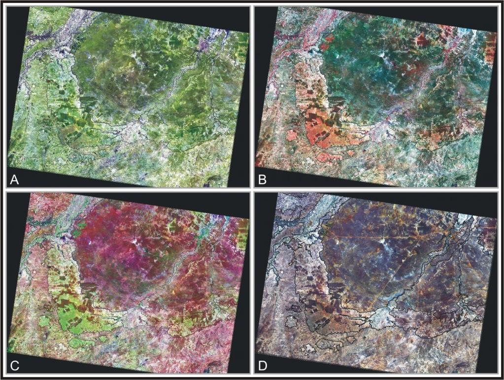 geradas imagens tridimensionais da superfície da terra. Nesse projeto foram coletados todos os dados em uma única missão espacial com duração de 11 dias em fevereiro de 2000.