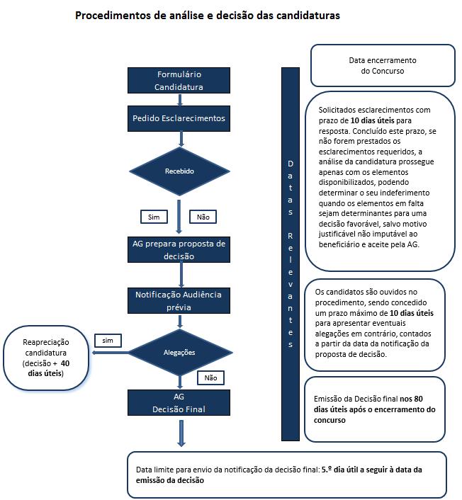 3. Prazos para análise e decisão de