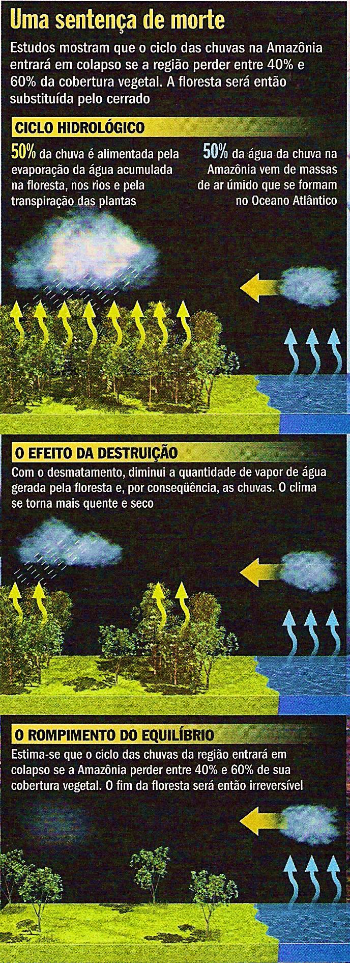 REVISÃO ENEM - BIO 01 - O esquema ao lado evidencia a influência das florestas para o ciclo hidrológico, mostrando as prováveis consequências do desmatamento sobre o ciclo e as repercussões sobre o