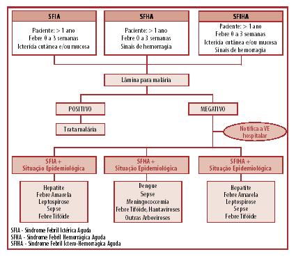 Síndrome Febril (Íctero-Hemorrágica