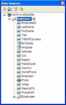 Observe na janela do Data Sources que a tabela Employees já é exibida com todos os seus campos.