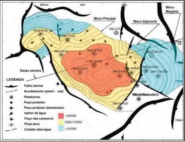 A Figura 13 também apresenta um mapa estrutural do reservatório do Campo de Namorado. Nesse caso, é demonstrado todos os poços (produtores, injetores, secos, abandonados, etc.