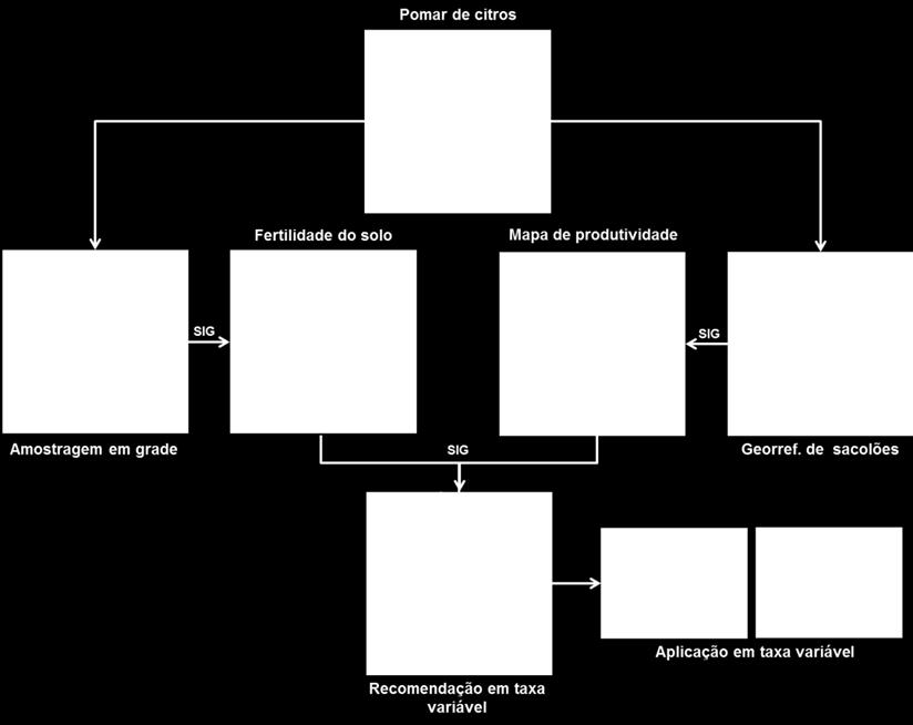 Tendências O próximo passo da pesquisa é detalhar ainda mais o manejo.