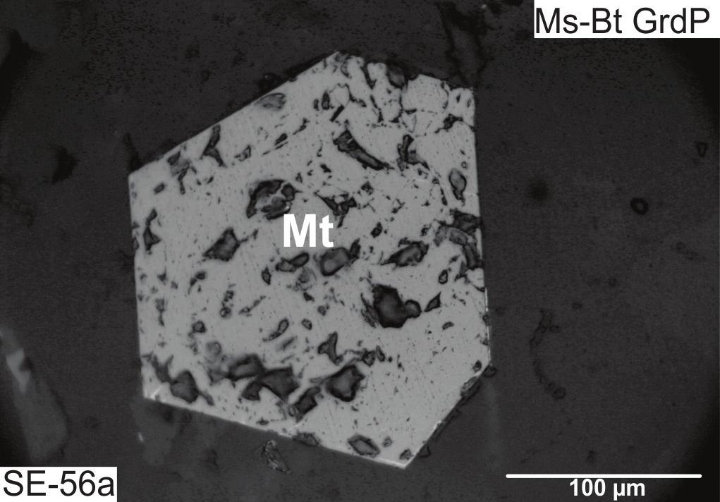 Petrologia magnética de granitoides arqueanos em Carajás A B C D E F G H Ms-Bt