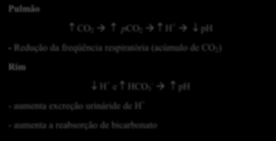 4.1 Acidose respiratória compensada por alcalose metabólica Pulmão CO 2 pco 2 H + ph - Redução da freqüência respiratória (acúmulo de CO 2 ) Rim H + e HCO - 3 ph - aumenta excreção urináride de H + -