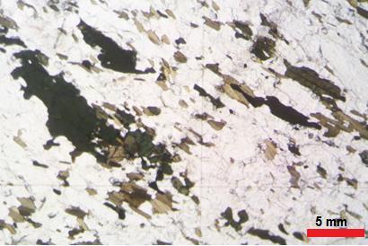 Figura 28: Distribuição de minerais máficos (anfibólio/biotita)
