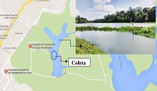 Tratamento de Água (ETA) da Companhia de Saneamento do Pará COSANPA localizada no Parque do Utinga como mostra a figura 2. Figura 2 Localização do Lago Bolonha Fonte: Google Maps, modificado (2016).