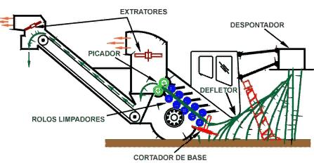 Operações preliminares da fabricação do açúcar: Despalha Manual Fogo Corte Manual 6 a