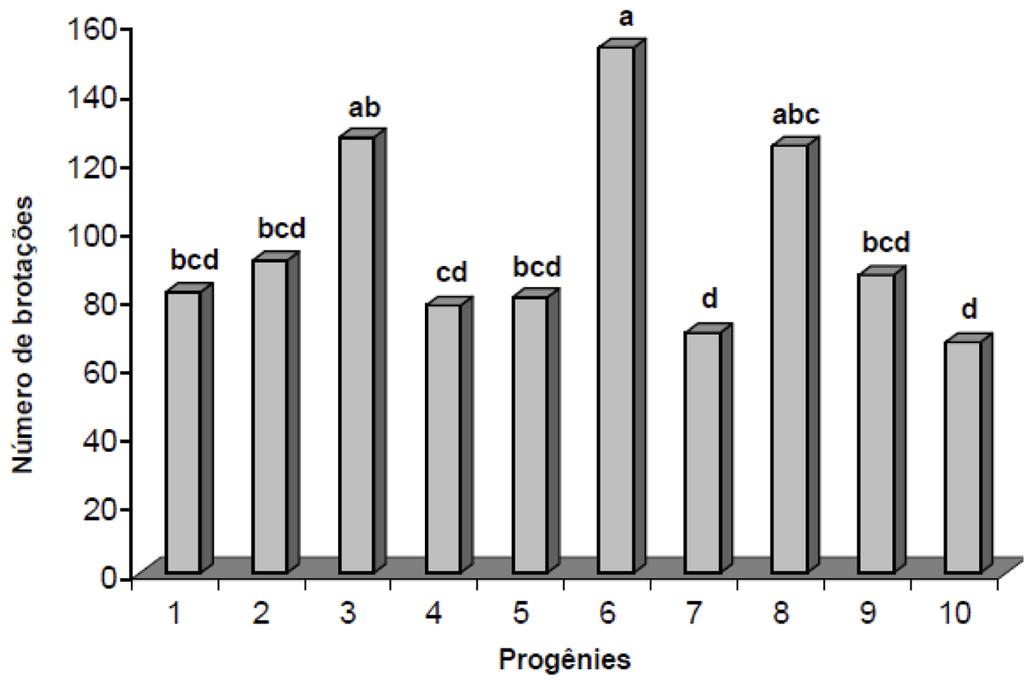 Figura 3. Número de brotações de dez progênies de E. grandis na fase de alongamento em meio de cultura JADS, aos 63 dias de cultivo. Piracicaba, 2006.
