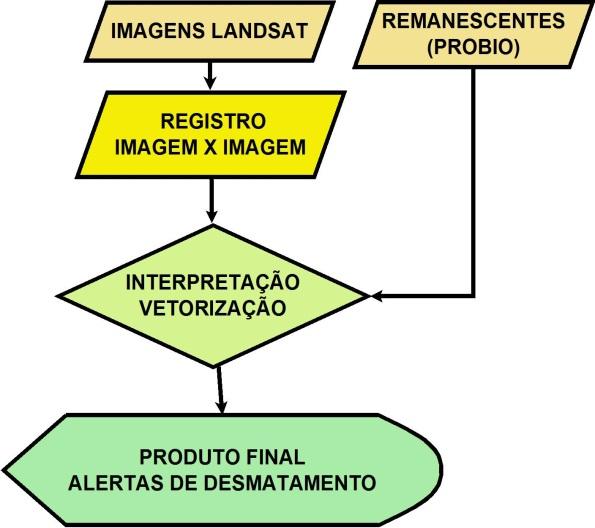 B A metodologia PMDBBS (Figura 1b), é realizada através da interpretação visual comparativa (em tela de computador) de imagens Landsat 5 TM, registradas pelo processo de imagem x imagem no programa