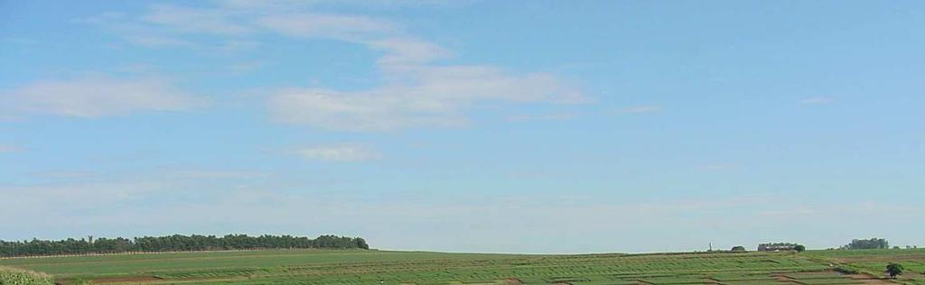 Experimento de longo prazo comparando diferentes sistemas, Embrapa Soja, Londrina-PR