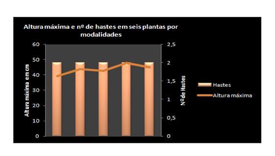 Pág. 109 Anuário de Experimentação 2013 Muito cedo se começou a verificar que as plantas das modalidades M3 e M4 se apresentavam vegetativamente mais desenvolvidas.