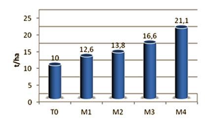 Pág. 126 Anuário de Experimentação 2013 Os valores da produção comercial obtidos variaram entre 10T/ha na T0 e 21T/ha na M4.