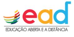 Universidade da Integração Internacional da Lusofonia Afro-Brasileira Curso de Especialização em