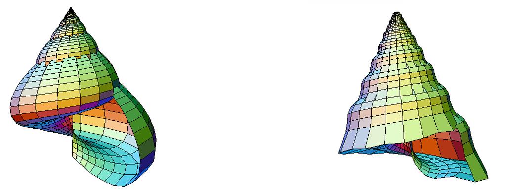 (0, 2π), dada por σ 1 (u, v) = a(1 v ) cos nv(1 + cos u) + c