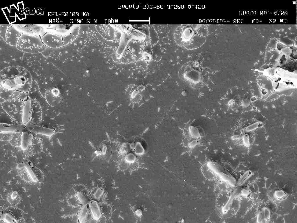 Figura 2. Micrografias obtidas através de MEV do depósito da liga Fe 48Cr 16 P 20Co 16 com aumento de 2000x. Figura 3.