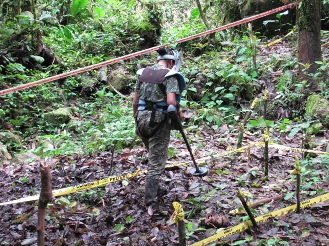 A meticulosidade feminina, devidamente comprovada, lhe confere essa capacidade de, em terrenos demasiadamente extensos e contaminados por minas terrestres extremamente sensíveis ao toque ou manuseio