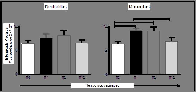 Resultados 5.2.