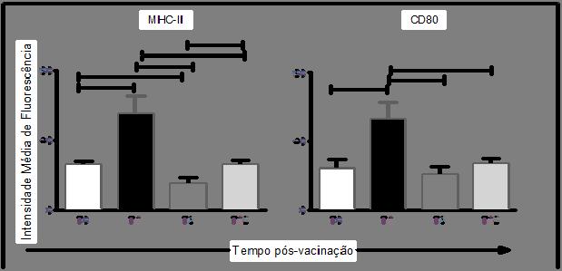 Resultados 5.4.