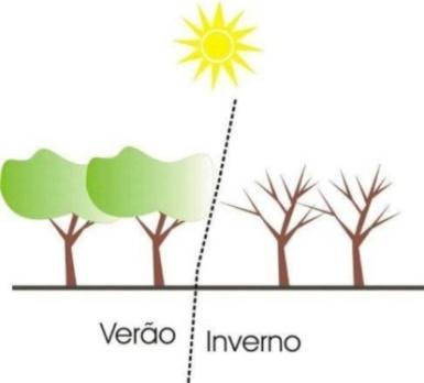 Figura 1 Comportamento da copa de árvores de espécies decíduas em diferentes estações do ano Levemente Muito Frio Frio Levemente Frio Confortável Quente Muito Quente Quente -3-2 -1 0 1 2 3 Quadro 1