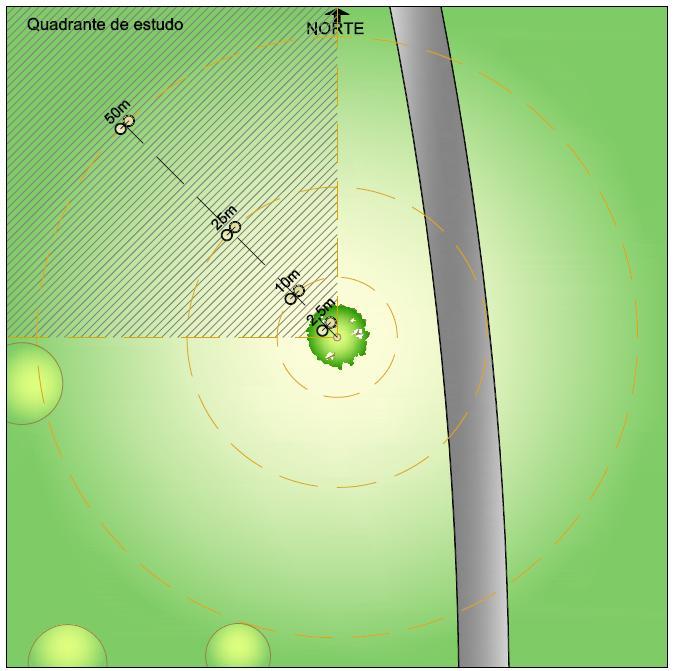 Os registradores acoplados ao tripé foram posicionados para o norte, evitando sombreamento da própria árvore estudada ao longo do dia, conforme se observa pela localização dos equipamentos no