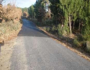 A quarta obra que fiscalizei foi a execução do pavimento betuminoso num caminho rural em Aldeia Velha.