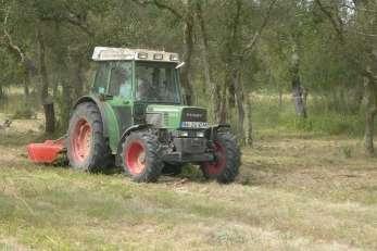 Carbono 1 Mt 0,5 Mt 1,5 Mt Montante pago aos agricultores 6,6 M 1,7 M 8,3 M Área